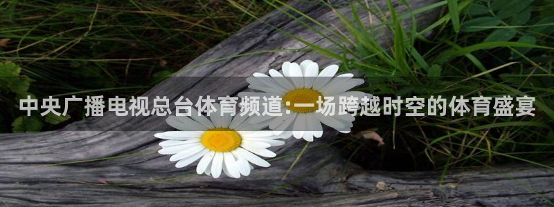 掘金vs火箭直播：中央广播电视总台体育频道:一场跨越时空的体育盛宴