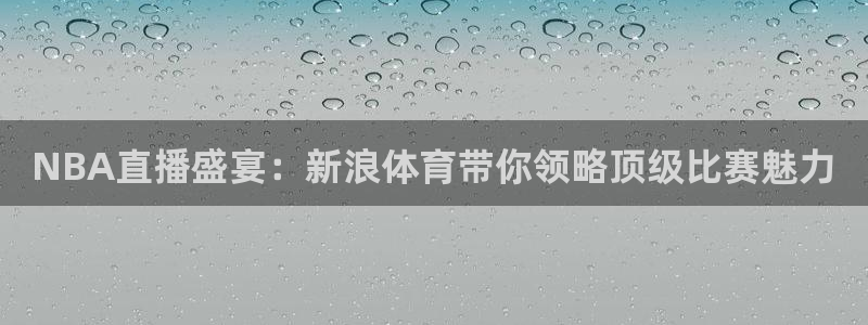 湖人火箭直播：NBA直播盛宴：新浪体育带你领略顶级比赛魅力
