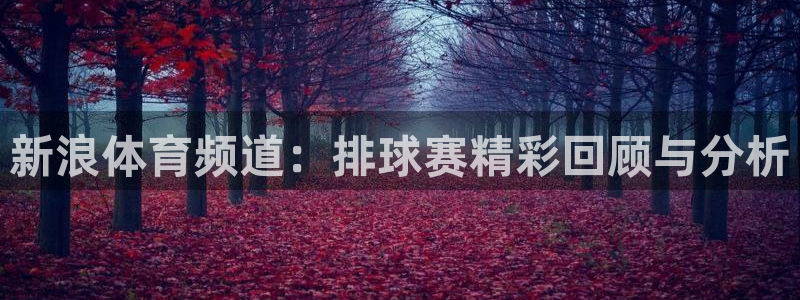 nba火箭直播在线直播观看视频：新浪体育频道：排球赛精彩回顾与分析