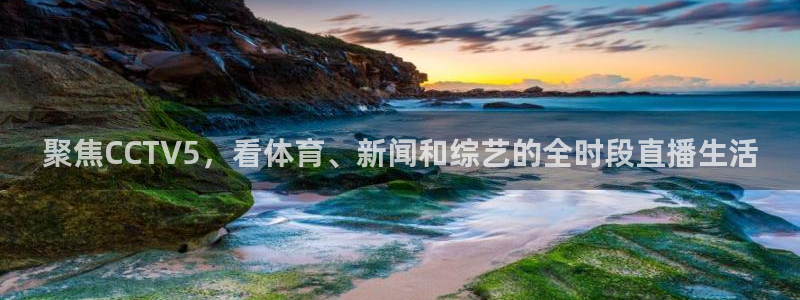 马刺vs火箭直播在线观看：聚焦CCTV5，看体育、新闻和综艺的全时段直播生活