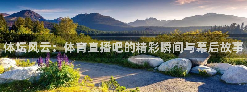 火箭直播软件下载：体坛风云：体育直播吧的精彩瞬间与幕后故事