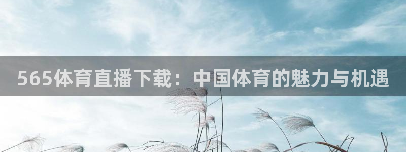火箭直播nba 今天：565体育直播下载：中国体育的魅力与机遇