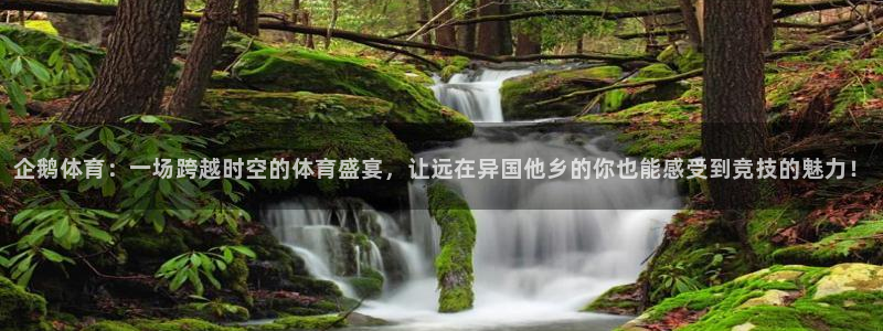 火箭直播app：企鹅体育：一场跨越时空的体育盛宴，让远在异国他乡的你也能感受到竞技的魅力！