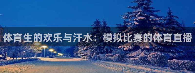 nba直播火箭直播：体育生的欢乐与汗水：模拟比赛的体育直播